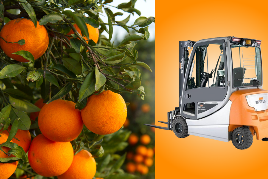carretillas electricas STILL temporada de citricos