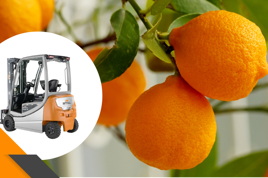 carretillas valencia